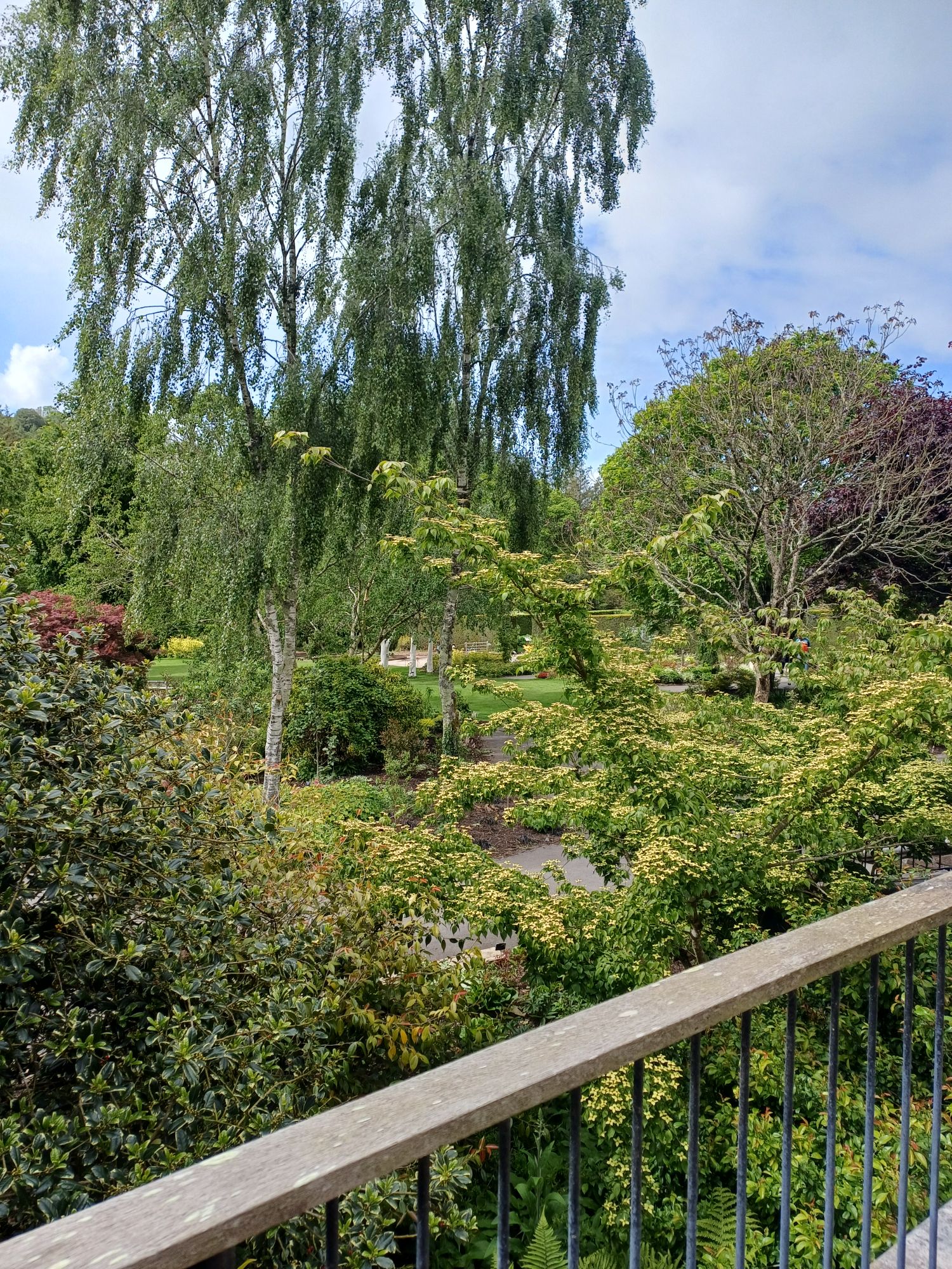 Rosemoor RHS Gardens