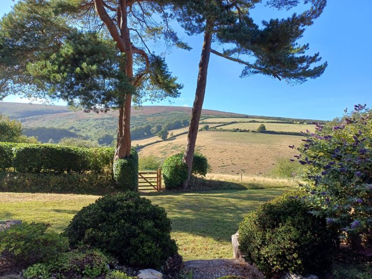 Country dancing in the Exmoor hills with Barnbuskers